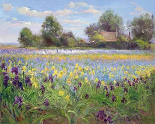 Farmstead and Iris Field